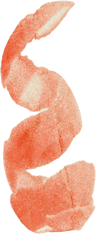 Duotone Rough Photocopied Orange Peel